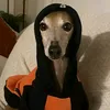 mmsmat