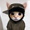 el.compa_joshua