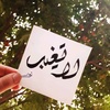 hass_n94