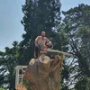 countrylaneservices