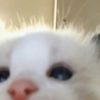 hien.ph