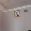 mxolid23