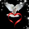 mohammadtalib755