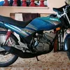 mantol1989