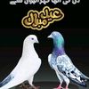 user64074960554