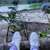 binghoo33