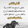 user7590730976746
