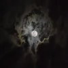 xxrk23