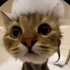 alessia_fifi8