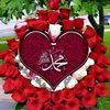 user42599570107473