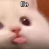 nikotin_dym60