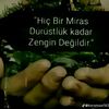 47_mert_7