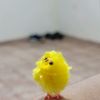 sunnyval21