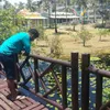caiquecerqueira94