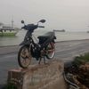 bebekgoreng197