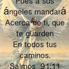 user7376479886508duarte