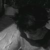 adingbungsu8