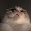 aiaixie
