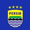 febzzx13