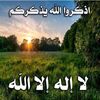 alemarh2030