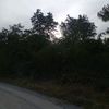 patcharapornmuadp