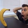 da_monkeeee