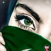 gulabo_568