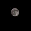 _picchi_19