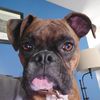 winnie_mcwinnieson