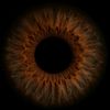 _cavid_085