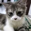 nabilarnr_