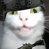 slappiye