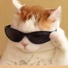 matvey_15