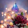 1yasmin12345679
