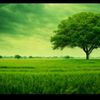 thiesse
