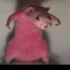 missaidi31