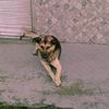 andy_xzv