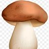 davidos_878