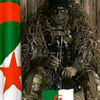 mostafajcb