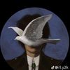 x.sadx.flyp