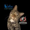 Dallas Cat Lady&Spicy Whiskers
