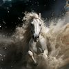 .rejosperu_022