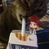 catt_liver