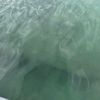 captainculater12