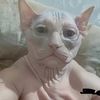randombullshi7