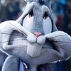 bad.bunny778