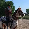 issadelphi4