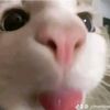 hermayoni029