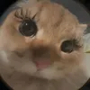 duhhh_itsjustmechristine
