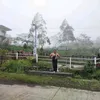 ezrafitz87